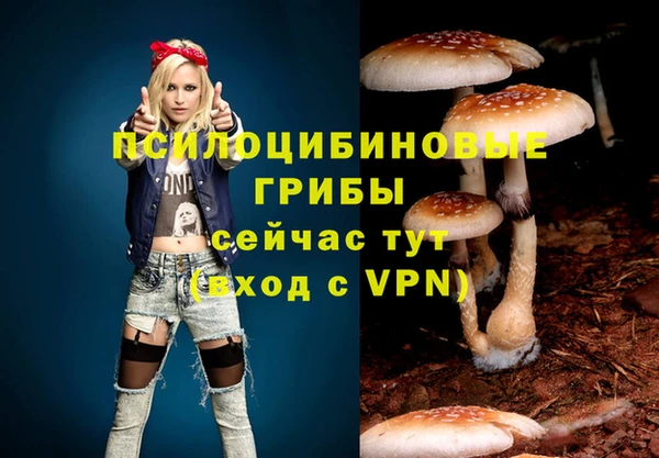 молекула духа Кинешма