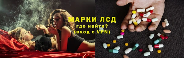 сатива Абаза